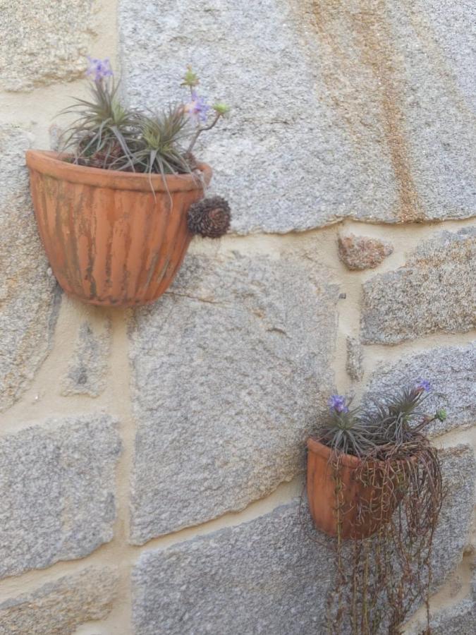 Vivienda Con Terraza En Playas De Baionaアパートメント エクステリア 写真